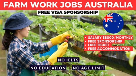 Australia Farm Work Jobs With Free Visa Sponsorship For 2024