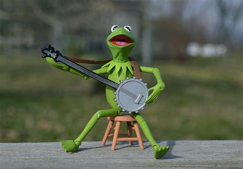 500 Free Kermit And Frog Images Pixabay