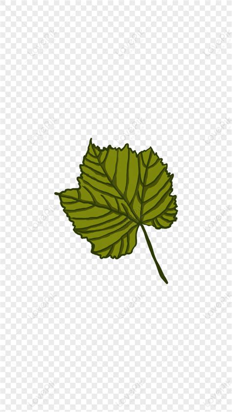 Tree Leaves Illustration Png PNG Hd Transparent Image And Clipart Image