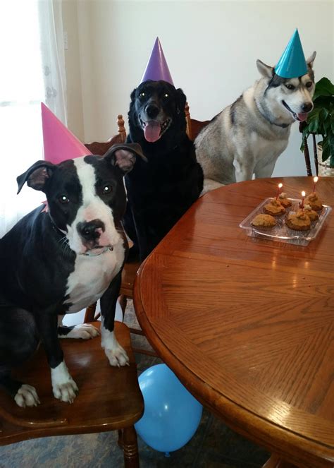 While you're at it, check out the gifts from 2018. This was Missy's (middle) 14th birthday she will be 16 ...