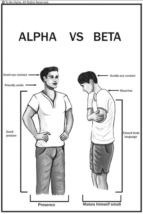 Quotes About Alpha Male 44 Quotes