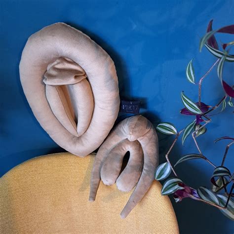 Vulva Anatomie Lehrset Vulva Und Klitoris Kissen Etsy Schweiz