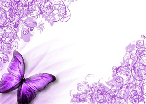 Purple Butterfly Hd Background Download Hd Wallpapers Butterfly