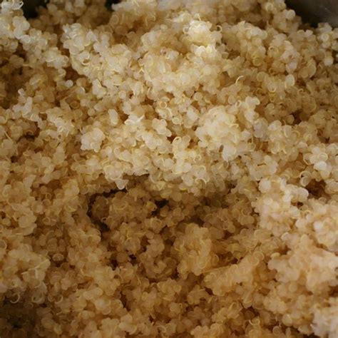 Set it and forget it, no need to brown rice is the same grain as white rice, but it's more nutritious with more nutrients and high in fiber. How To Cook Quinoa • The Healthy Eating Site