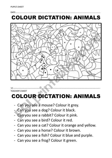 Colour Animal Dictation Esl Worksheet By Pisiflor