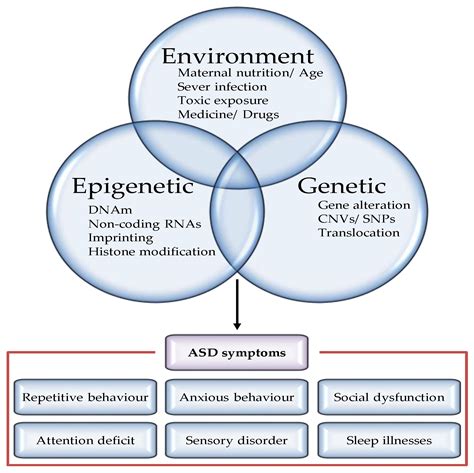 Epigenomes Free Full Text The Role Of Genetics Epigenetics And