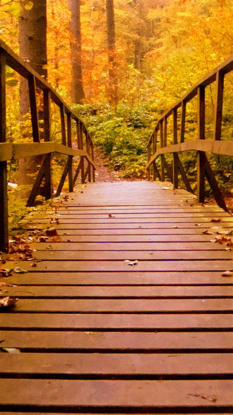 1080x1920 Autumn Wood Wooden Bridge Forest Leaves Nature Hd For