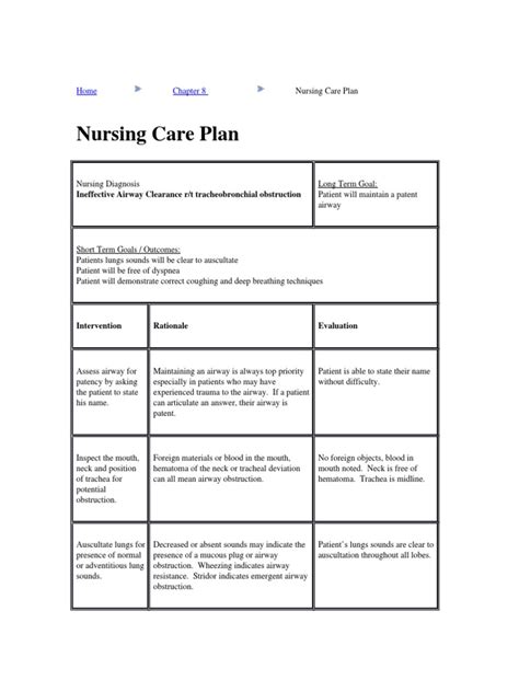 Sample Nursing Care Plans Thorax Intravenous Therapy