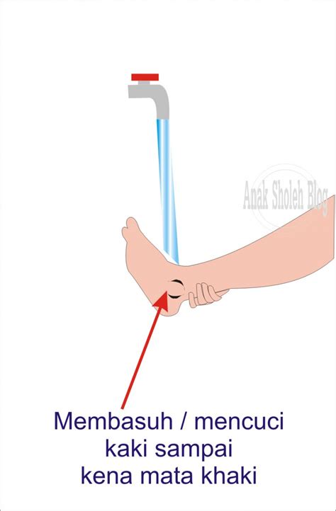 Siape yang menemukan dompet kulit? Urutan-urutan Tata Cara Berwudhu dengan Benar - Anak Sholeh