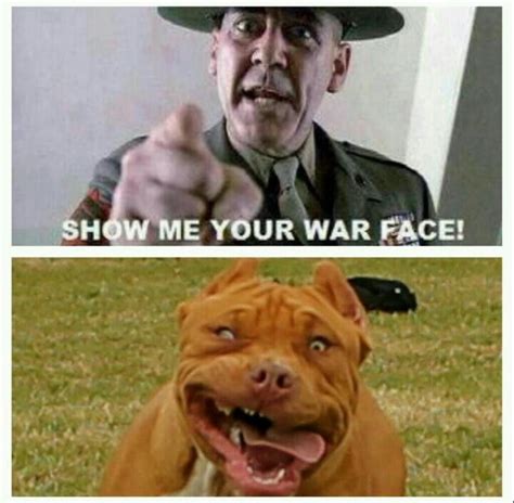 11 Best Images About Show Me Your War Face On Pinterest Too Late