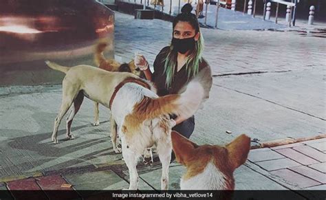 Extra covid payment for northern ireland students. Meet The Delhi Student Feeding Strays During Coronavirus ...