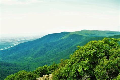 Skyline Drive Shenandoah National Park 2020 All You Need To Know