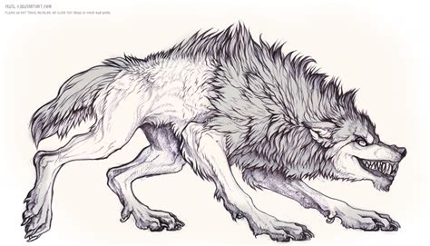 Werewolf Head Drawing At Explore Collection Of