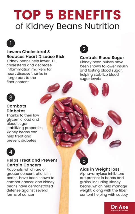 Kidney Beans Healthy Legume Or Gi Disruptor Kidney Beans Nutrition