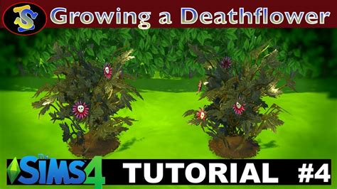 The attractive color of poppy flowers a symbol of both sleep and death 18luxury what color flowers for death more image ideas different s of flowers all ing pages for what. The Sims 4 Tutorial: How to Grow Death Flower - YouTube