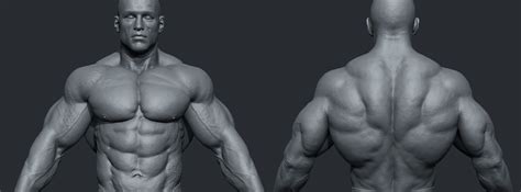 Male Body Builder Zbrushcentral