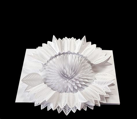 Papierkunst Von Peter Dahmen Papierskulptur Papierdesign Papierkunst
