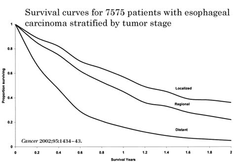 Esophagus Cancer Stage And Survival