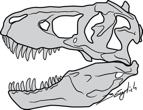 rex bones drawing google search dinosaur drawing