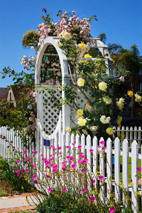 Arbor With Beautiful Flowers Stock Photo Image Of Colorful Fashioned