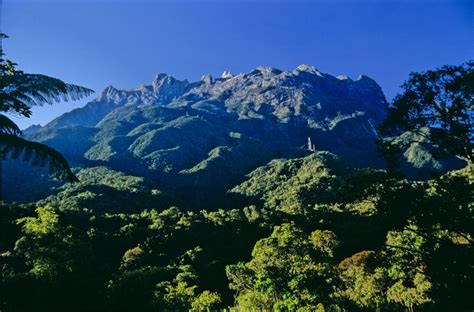 Mount Kinabalu What Its Really Like To Climb Borneos Highest Peak