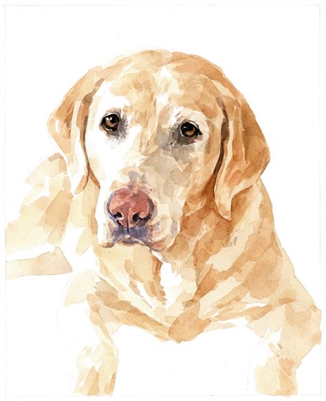 Pet Watercolor At Explore Collection Of Pet Watercolor