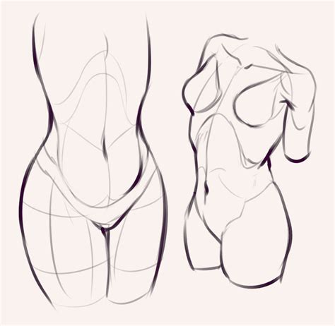 Anatomy of the chest and the lungs: Drawing drill #60: Quick poses and chest anatomy ...