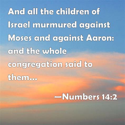 Numbers 142 And All The Children Of Israel Murmured Against Moses And