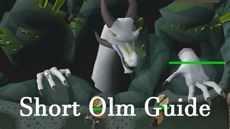 Osrs Short Guide On The Great Olm Youtube