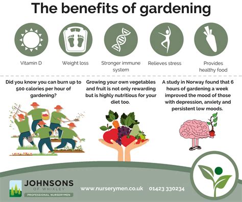 The Benefits Of Gardening To Your Health Johnsons Of Whixley