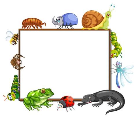 Border Template With Many Insects Download Free Vectors