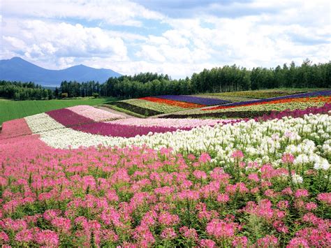 Hokkaido Japan Tourist Destinations