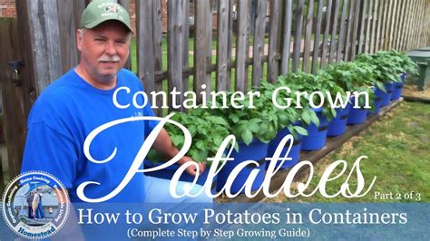 Hd How To Grow Potatoes In Containers Part 2 Of 3 Youtube