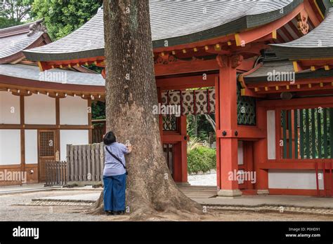 Hikawa jinja shinto shrine hi-res stock photography and images - Alamy