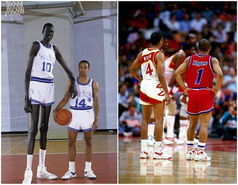 Maybe you would like to learn more about one of these? Basketball players height chart: from shortest to tallest