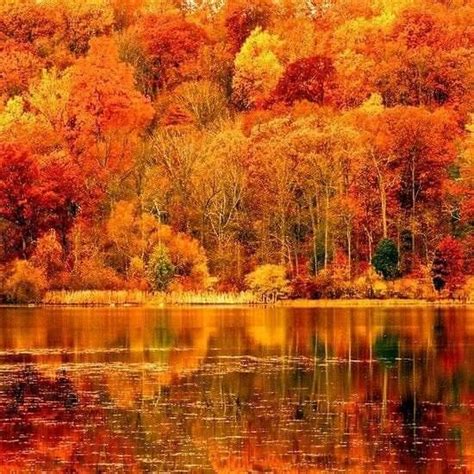 Pin By Becky Cagwin On Seasons Amazing Autumn Scenery Photo Color