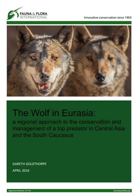 Pdf The Wolf In Eurasia A Regional Approach To The Conservation And