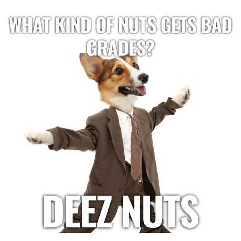100 Good Deez Nuts Jokes Funny Clever And Creative That No One Knows