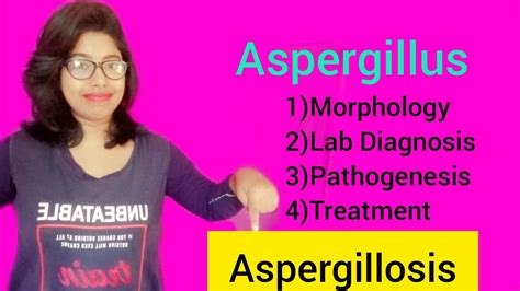 Aspergillosis Aspergillus Morphology Lab Diagnosis And Pathogenesis