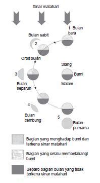 Kalau kita lihat teman kita dari samping, separuh wajah siang terlihat dan separuh lagi wajah malam tampak. Perubahan Kenampakan Bulan, Bintang dan Matahari - READS ...