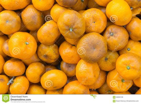 Rotten Oranges With Areas Of Mould Showing Almost Everywhere Stock
