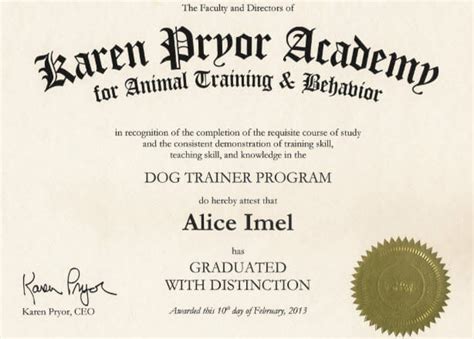 Animal behavior college dog trainer (abcdt). How to Become a Dog Trainer: Career, Salary & Training ...
