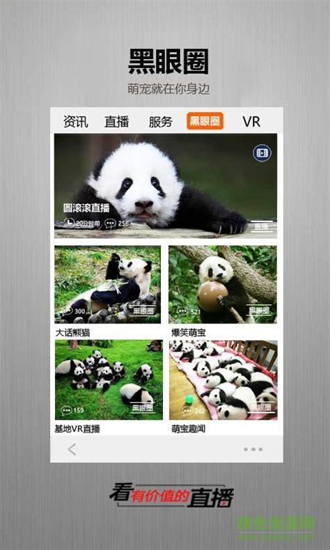 金熊猫app下载 金熊猫下载v1101 安卓版 绿色资源网