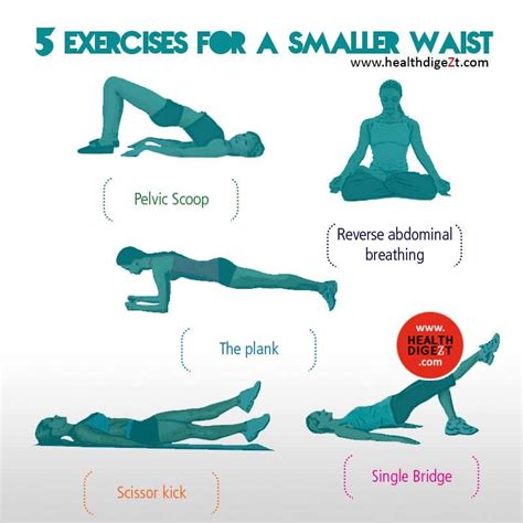 8 Exercise For A Smaller Waist You Can Get Your Waist Trimmer Ab Belt