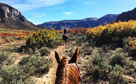 Colorado Horseback Riding Fun In The Rocky Mountains