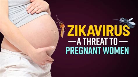 zika virus a threat to pregnant women symptoms preventive measures explained by pruthu