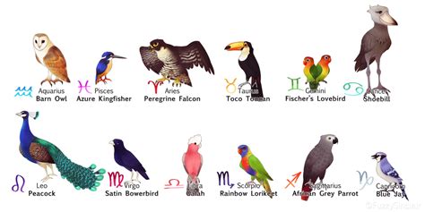 Zodiac Signs Birds By Fuzzysinclair On Deviantart