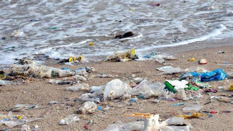 Más Del 70 De Los Residuos En Las Playas Son Plásticos