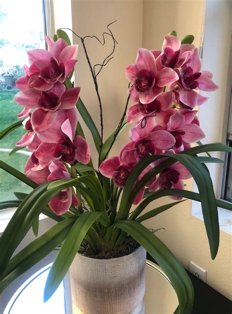 Cymbidium Orchid Real Touch Arrangement Pink Etsy