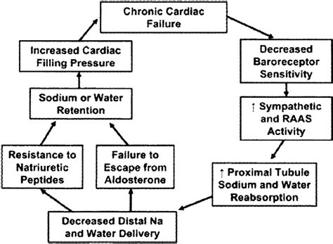 Heart failure in chronic kidney disease: Pathophysiology of acute decompensated heart failure. [Reproduced with... | Download Scientific ...